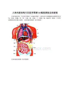 人体内脏结构穴位医学图谱14幅高清版总结新版.docx