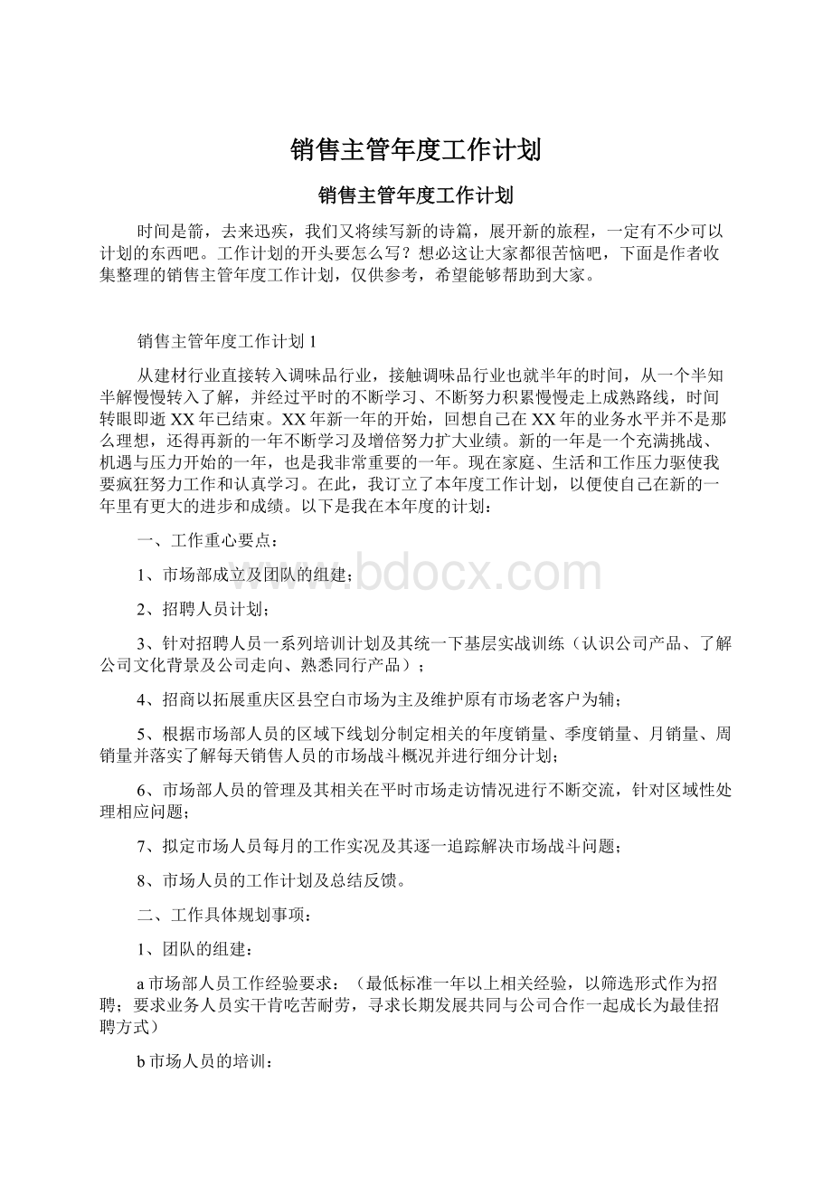 销售主管年度工作计划文档格式.docx