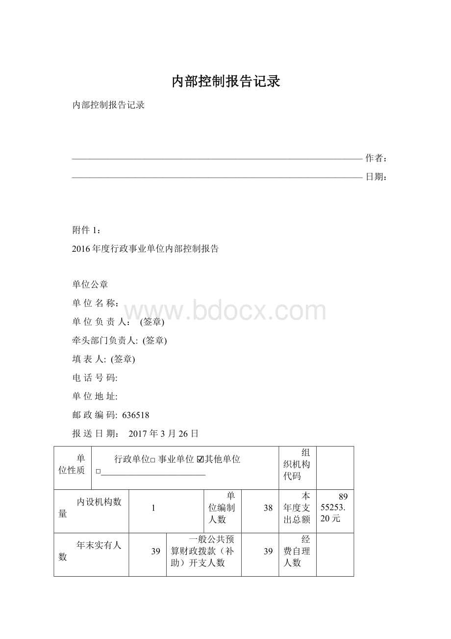 内部控制报告记录.docx_第1页