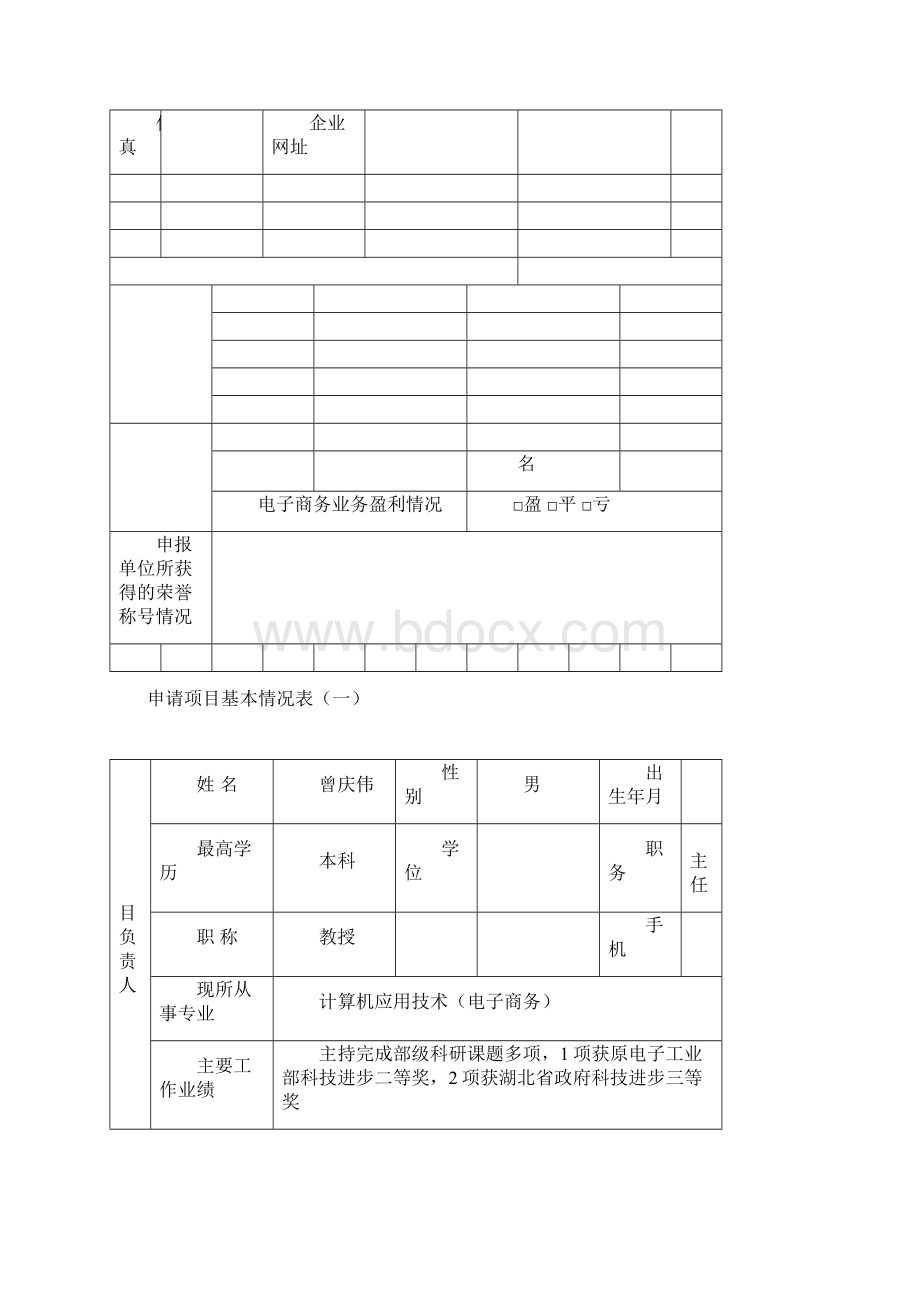 项目申报书.docx_第2页