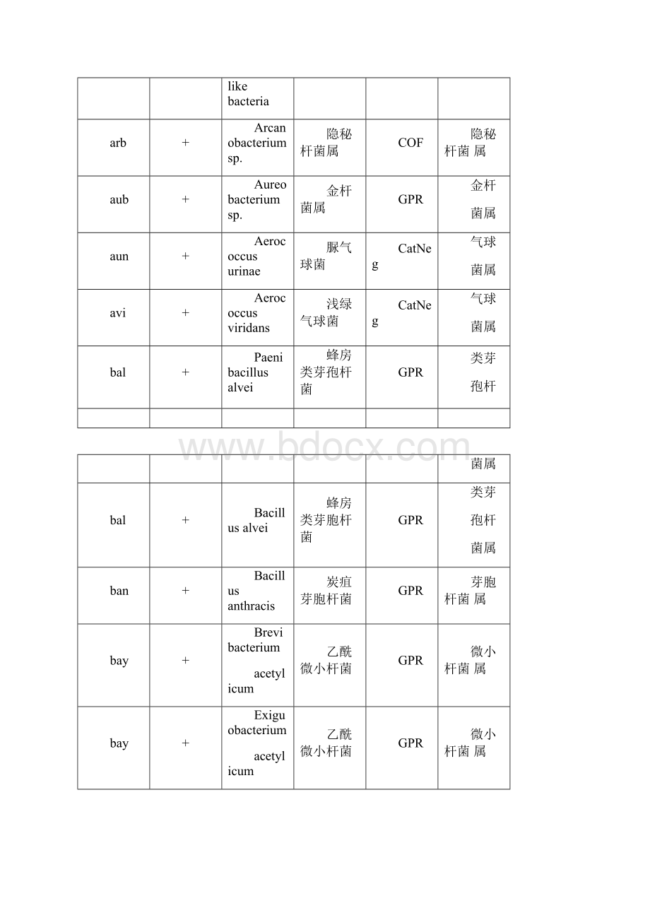 常见细菌中英文对照菌组菌属及代码革兰阳性部分.docx_第2页