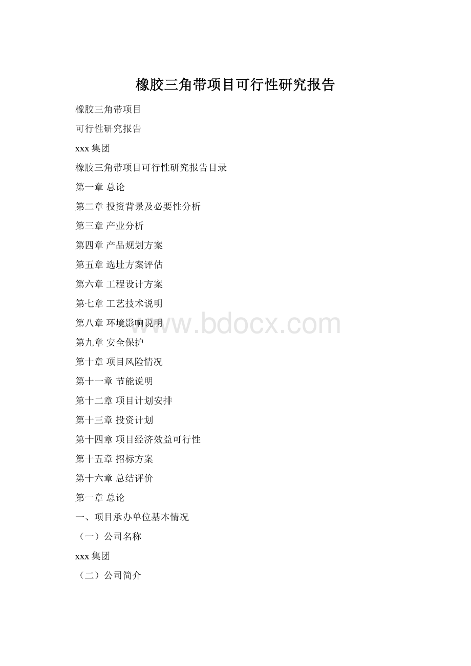 橡胶三角带项目可行性研究报告Word格式.docx