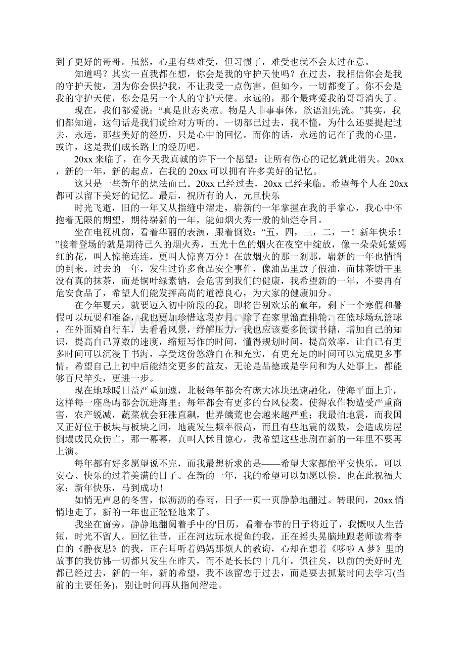 新年的作文600字10篇Word格式文档下载.docx_第3页