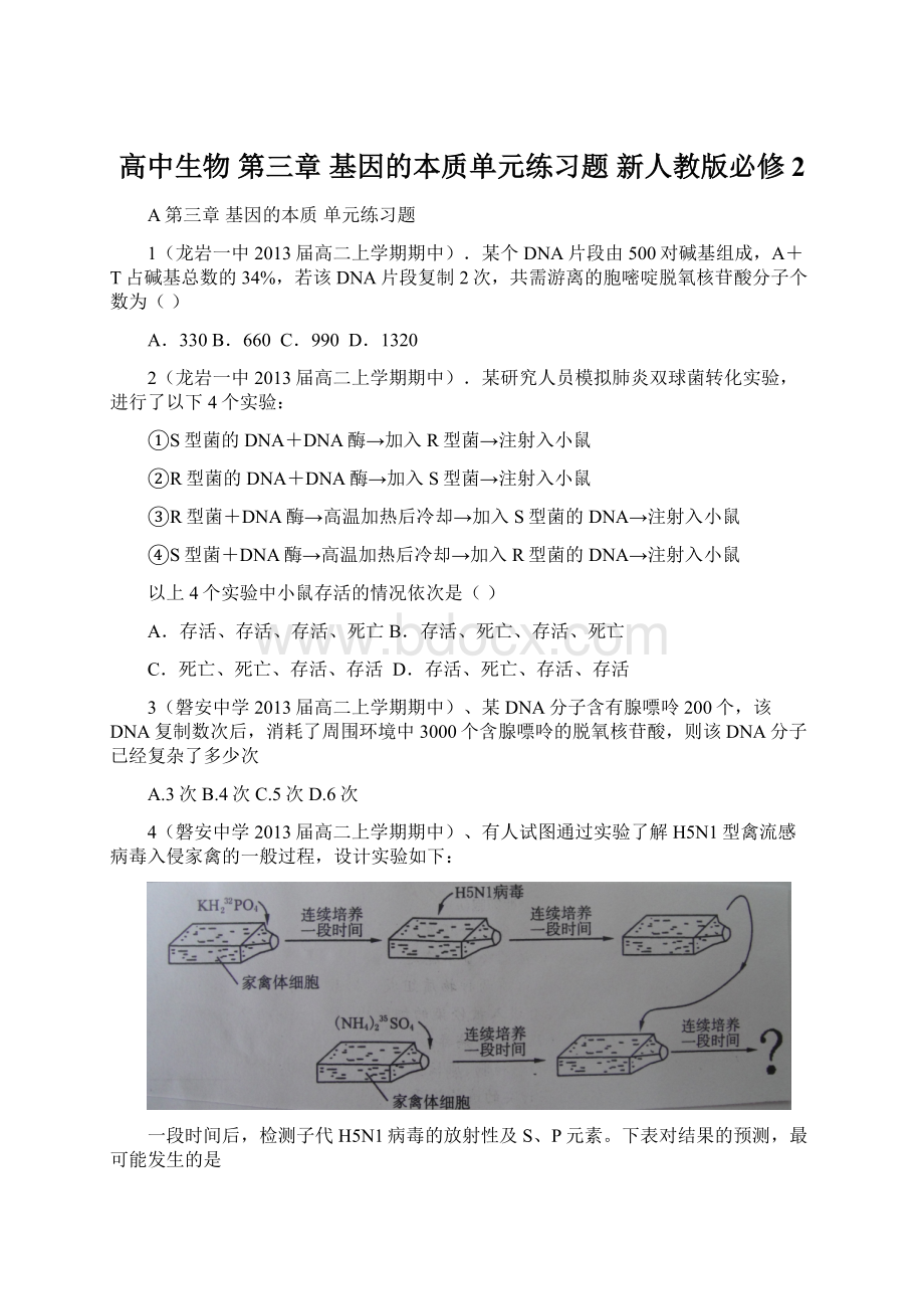 高中生物 第三章 基因的本质单元练习题 新人教版必修2Word文档下载推荐.docx