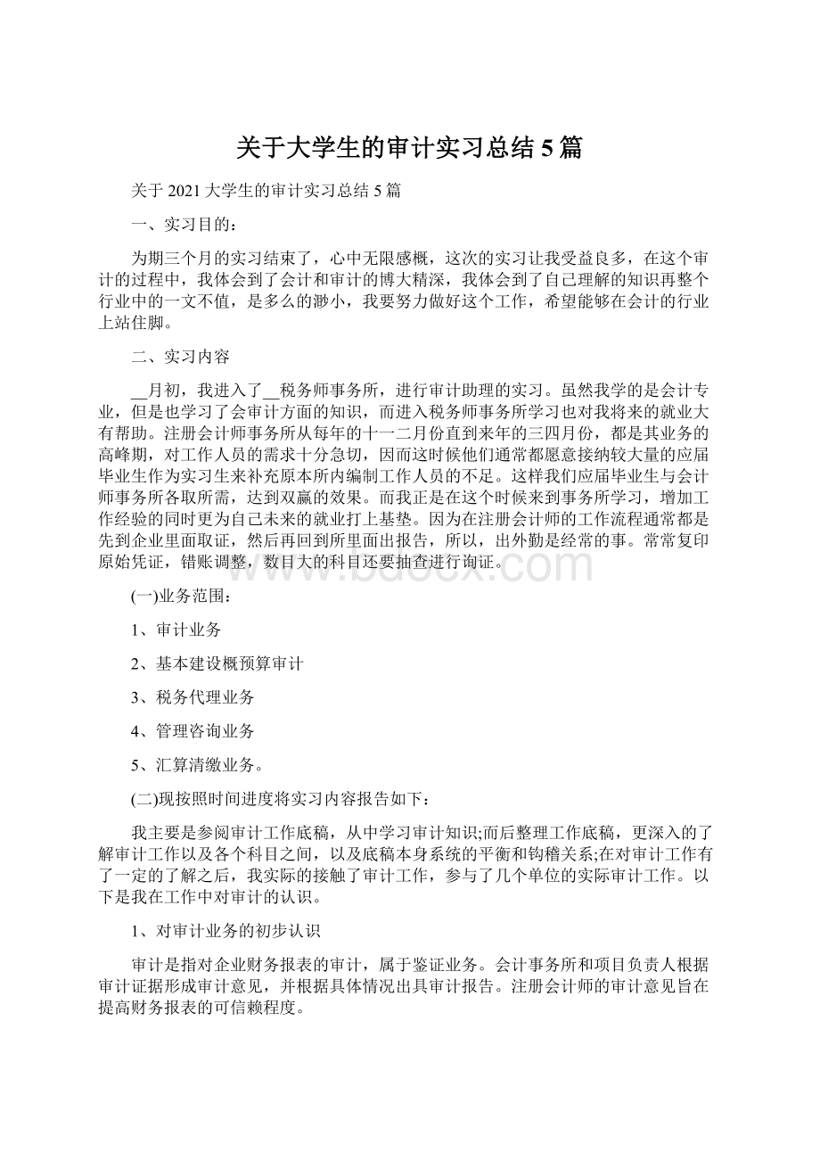 关于大学生的审计实习总结5篇Word格式.docx_第1页