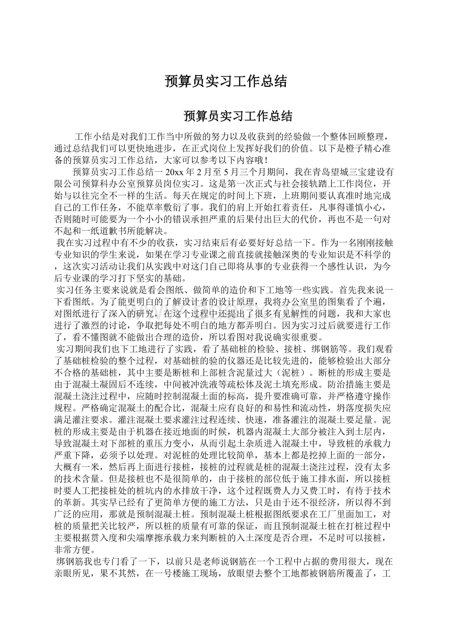 预算员实习工作总结.docx_第1页