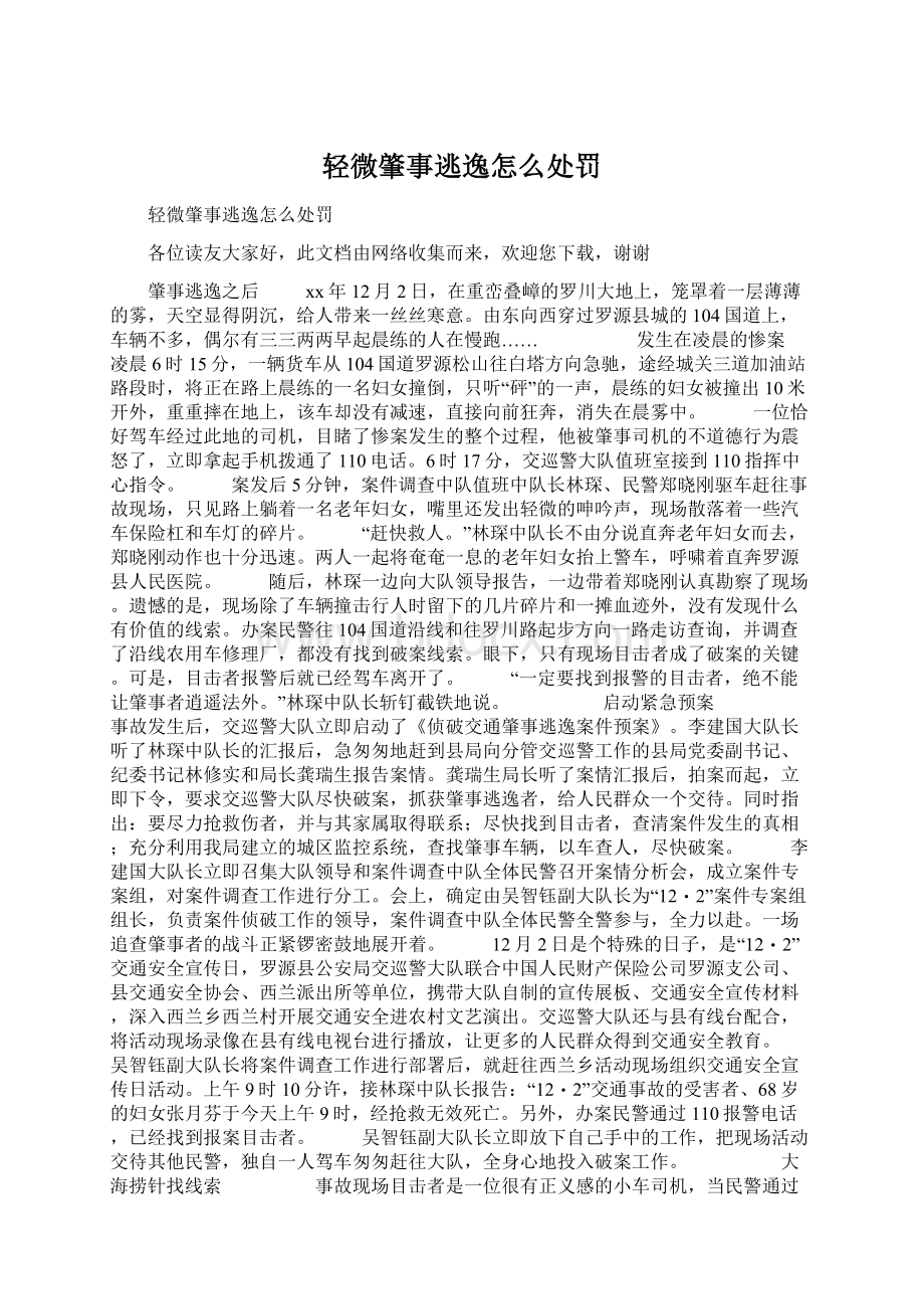 轻微肇事逃逸怎么处罚文档格式.docx