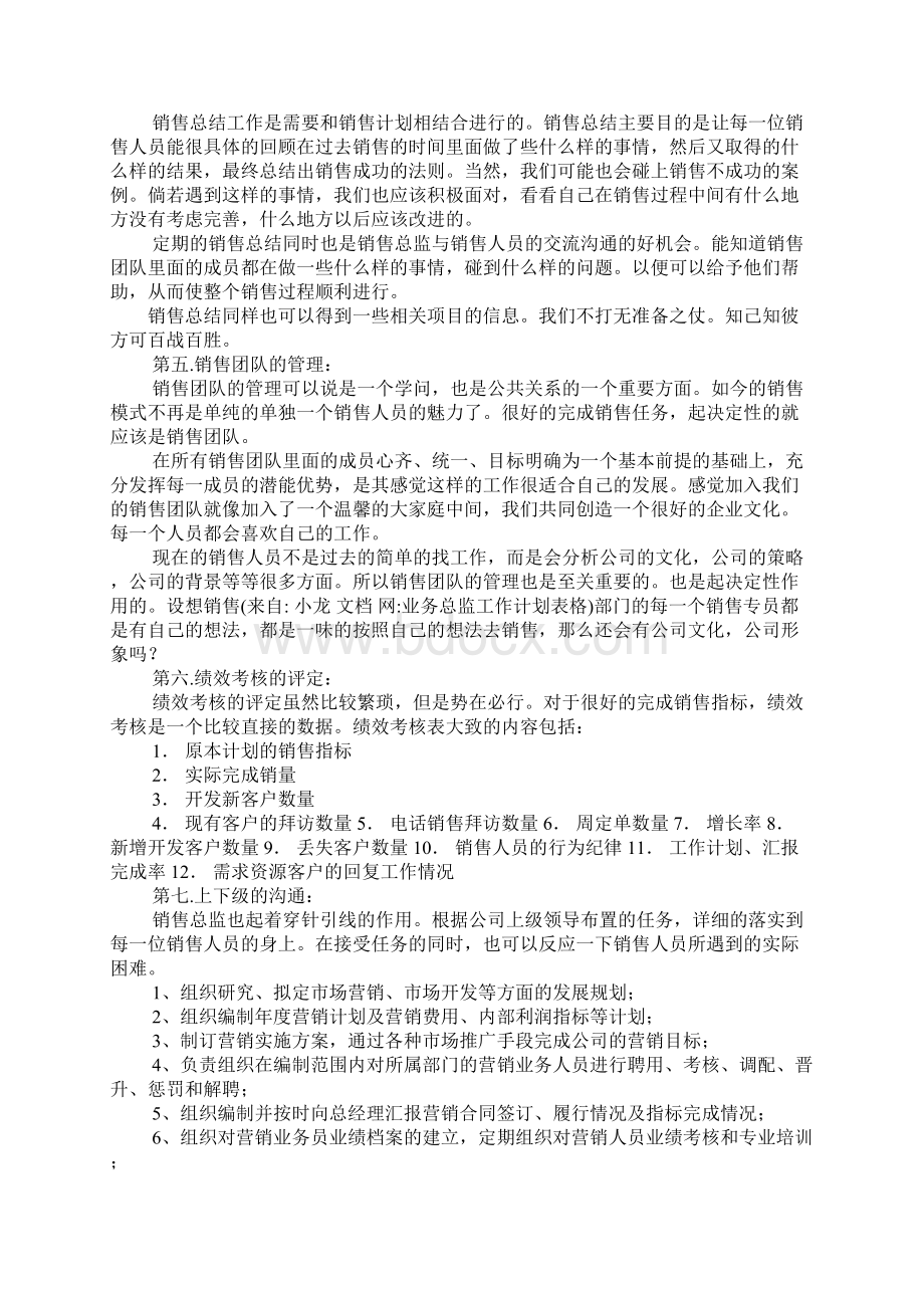 业务总监工作计划表格文档格式.docx_第3页