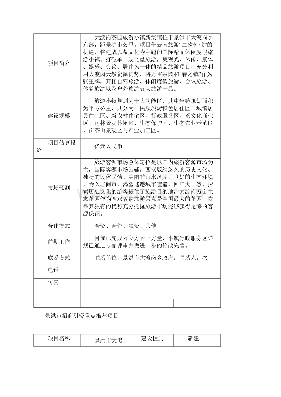 景洪市招商引资重点推荐项目.docx_第3页