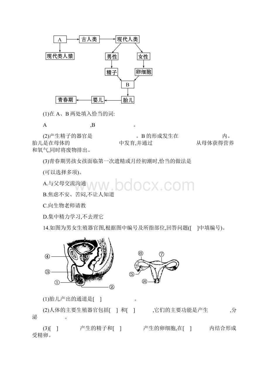 七年级生物期中考试复习导学案Word文件下载.docx_第2页