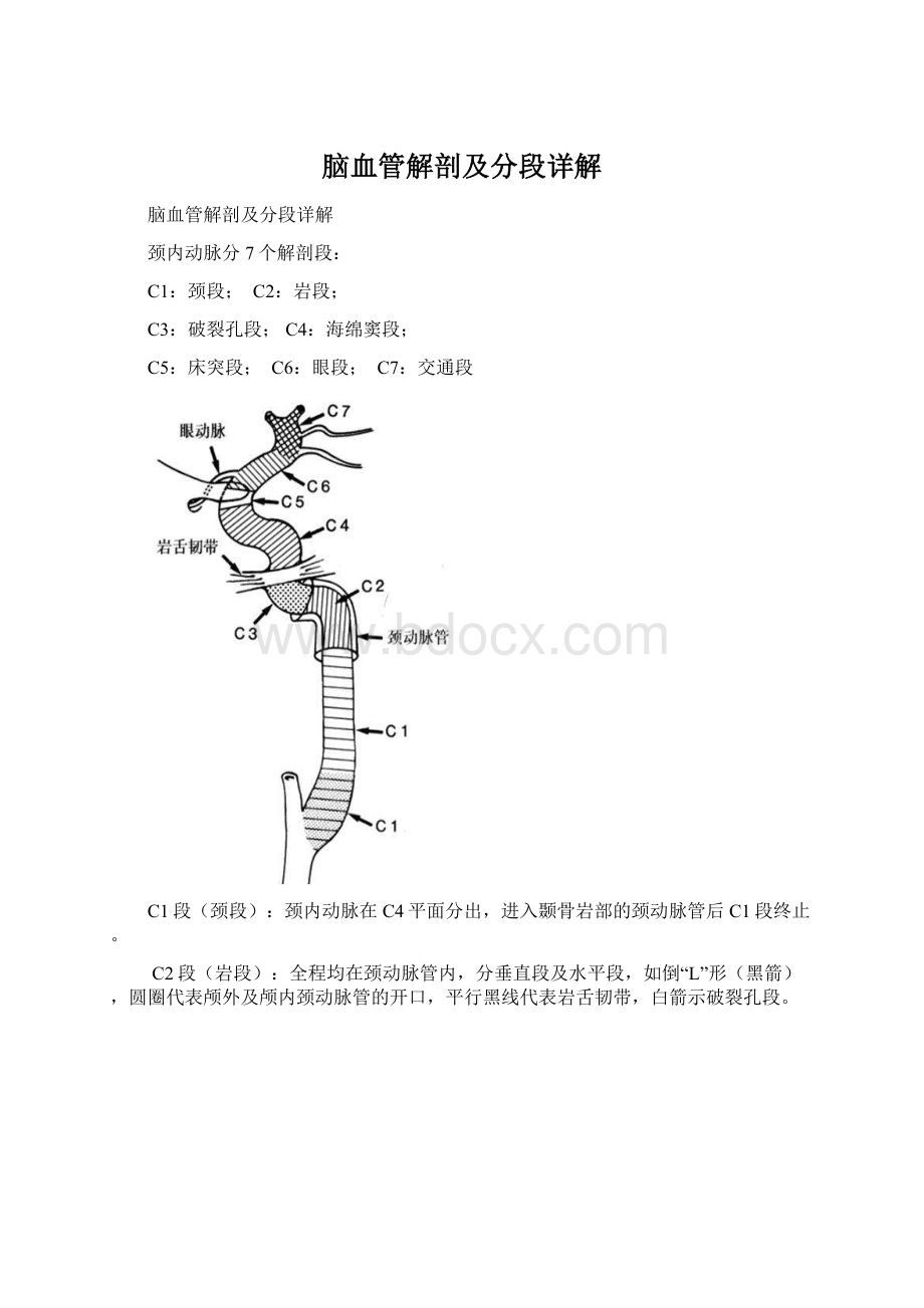 脑血管解剖及分段详解Word文档下载推荐.docx_第1页