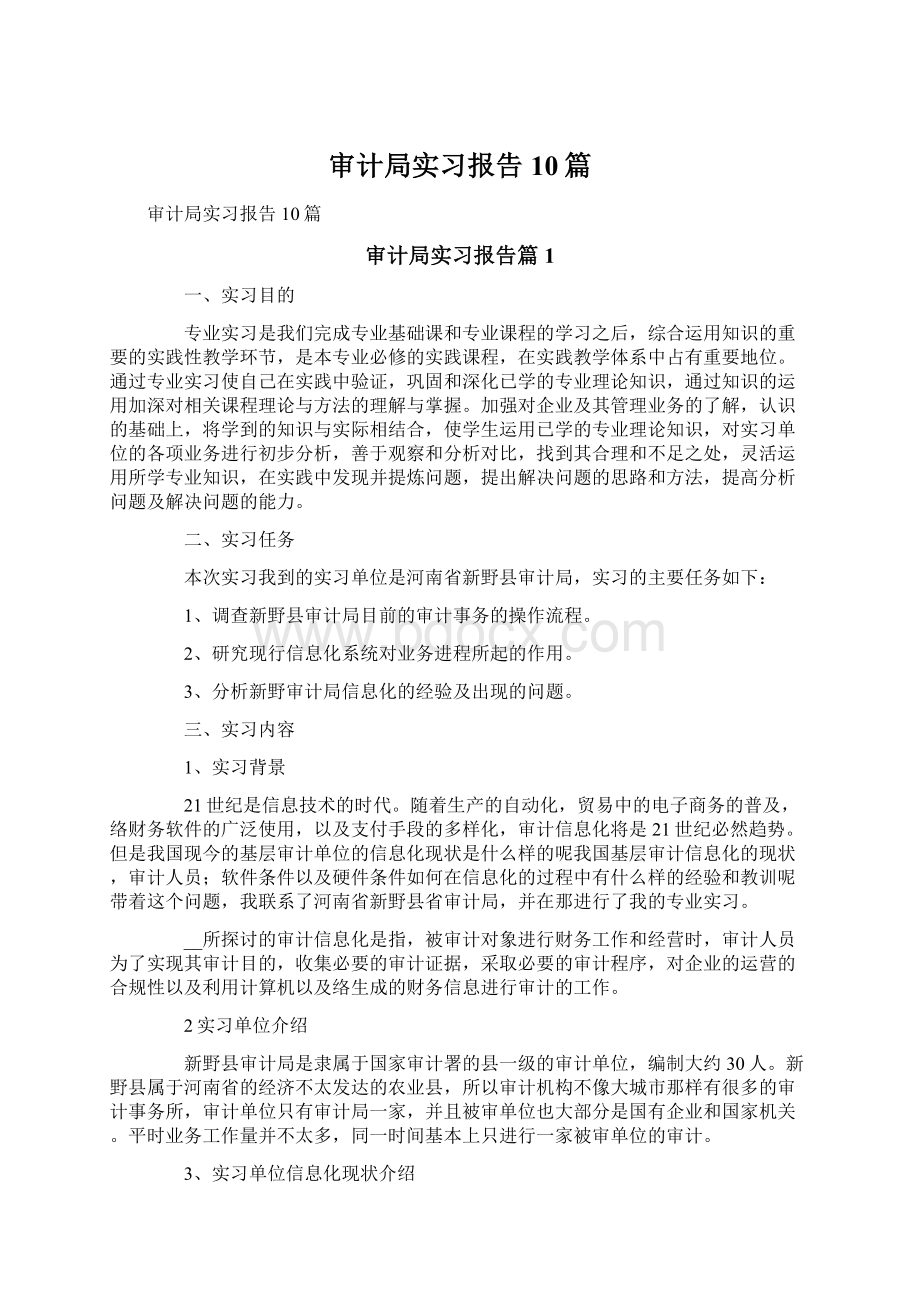 审计局实习报告10篇.docx_第1页