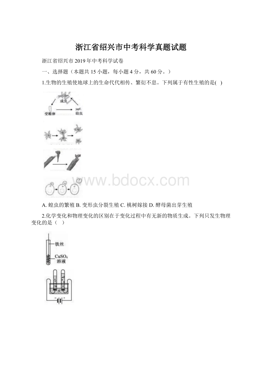 浙江省绍兴市中考科学真题试题Word格式文档下载.docx