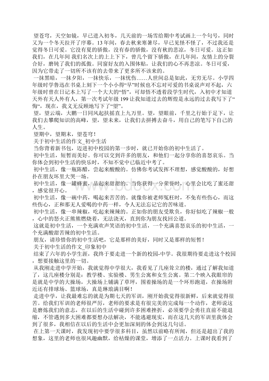 关于初中生活的作文初三作文Word文档格式.docx_第3页