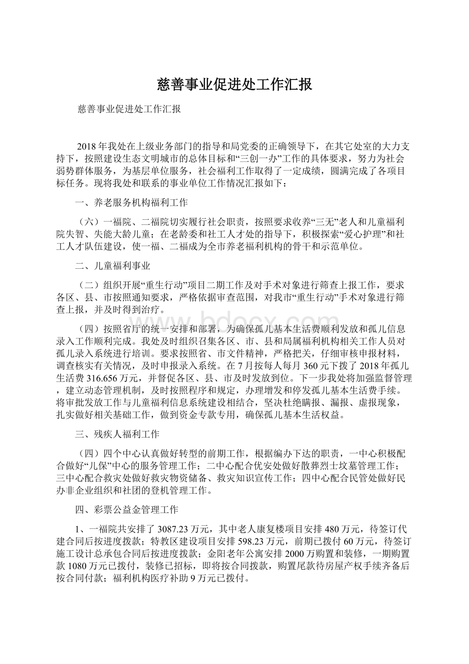 慈善事业促进处工作汇报Word下载.docx_第1页