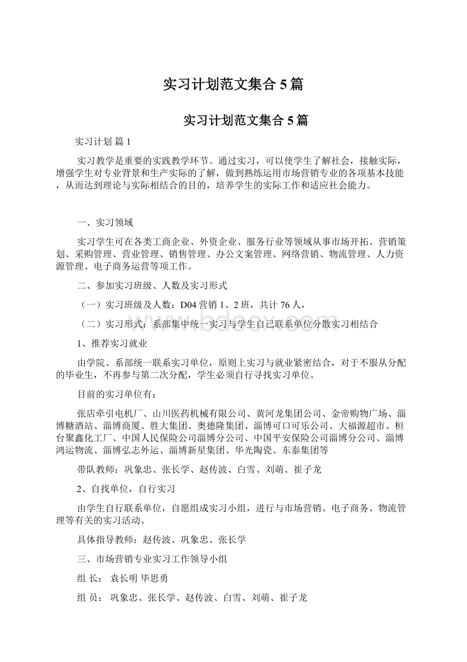 实习计划范文集合5篇文档格式.docx