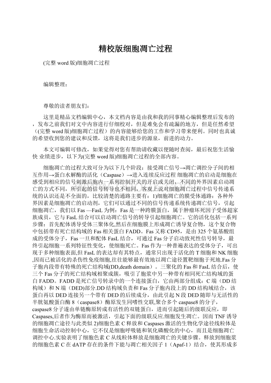 精校版细胞凋亡过程Word文件下载.docx