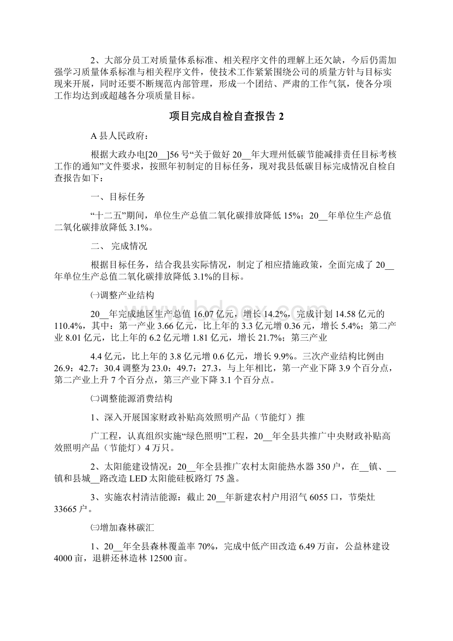 项目完成自检自查报告.docx_第2页