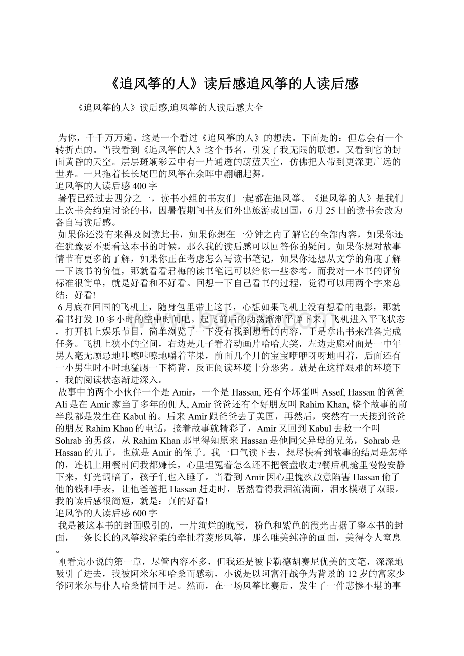 《追风筝的人》读后感追风筝的人读后感Word格式文档下载.docx_第1页