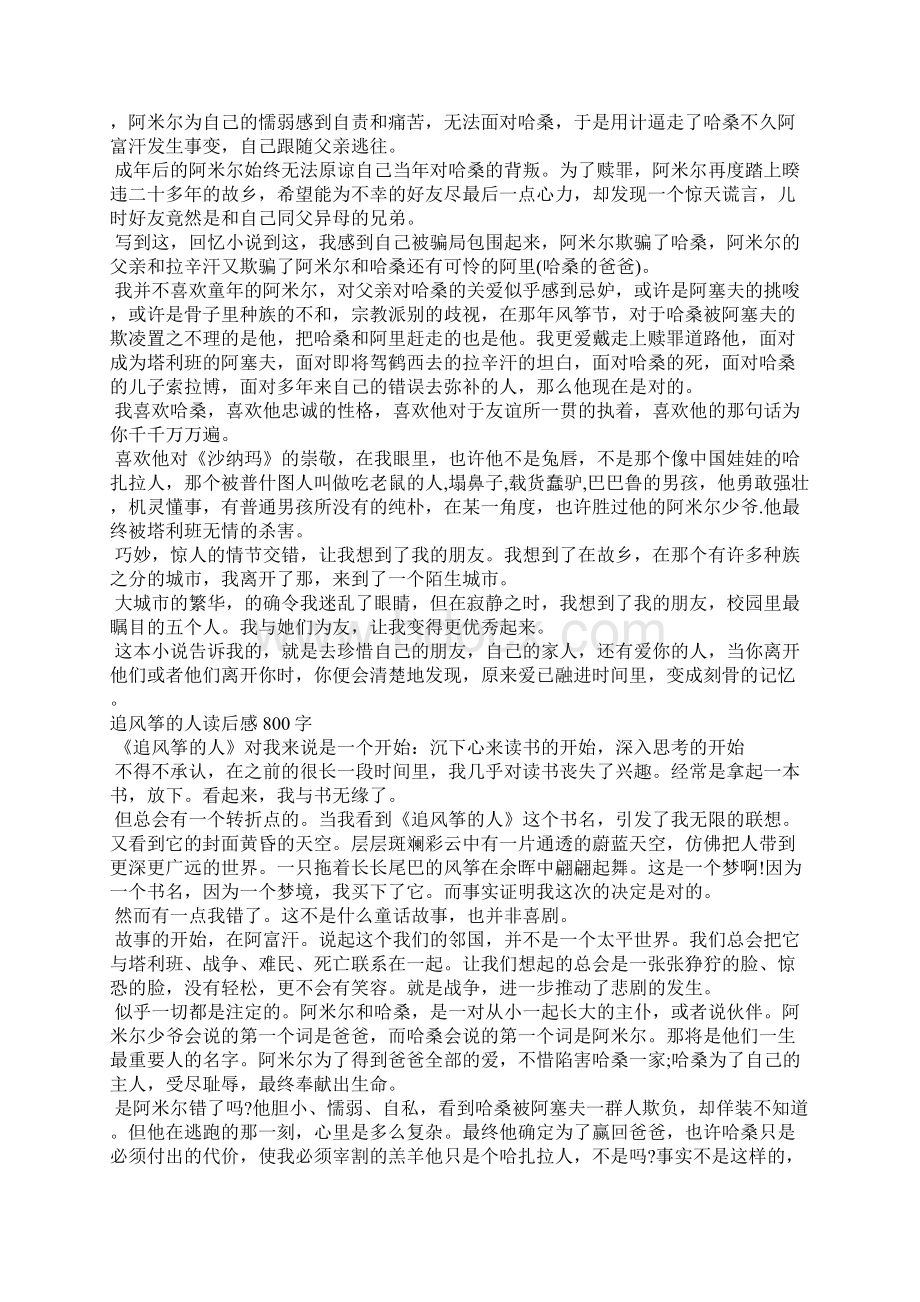 《追风筝的人》读后感追风筝的人读后感.docx_第2页