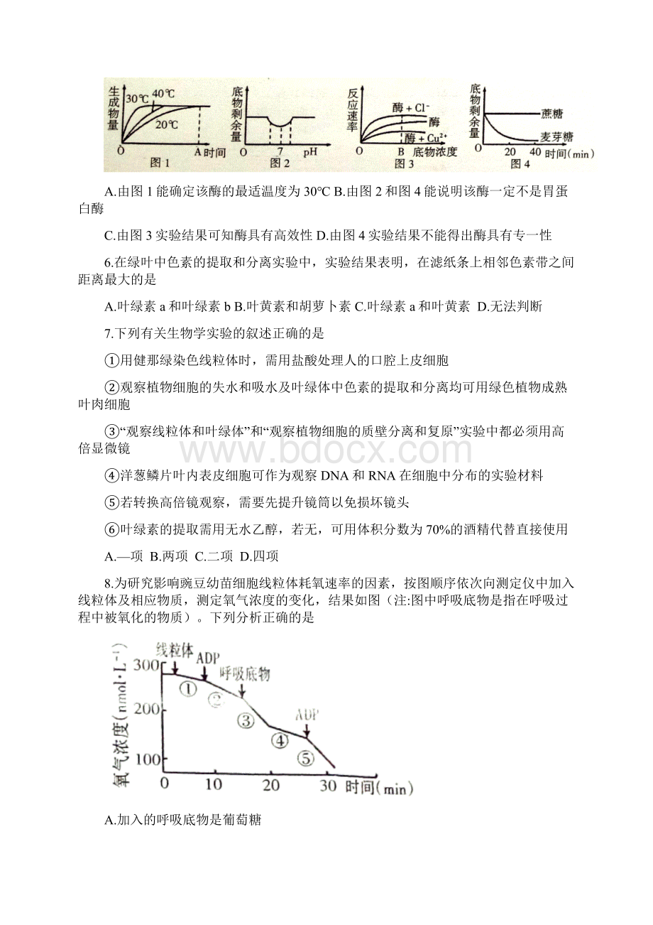 江西省吉安市高一生物下学期期末考试试题.docx_第2页