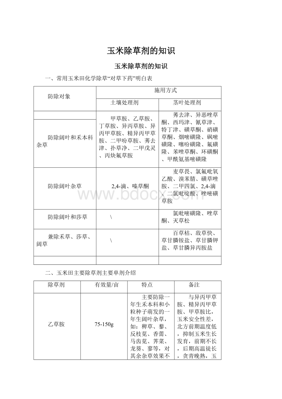 玉米除草剂的知识文档格式.docx_第1页