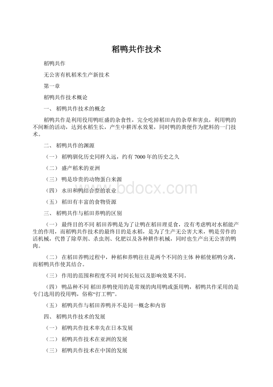 稻鸭共作技术文档格式.docx