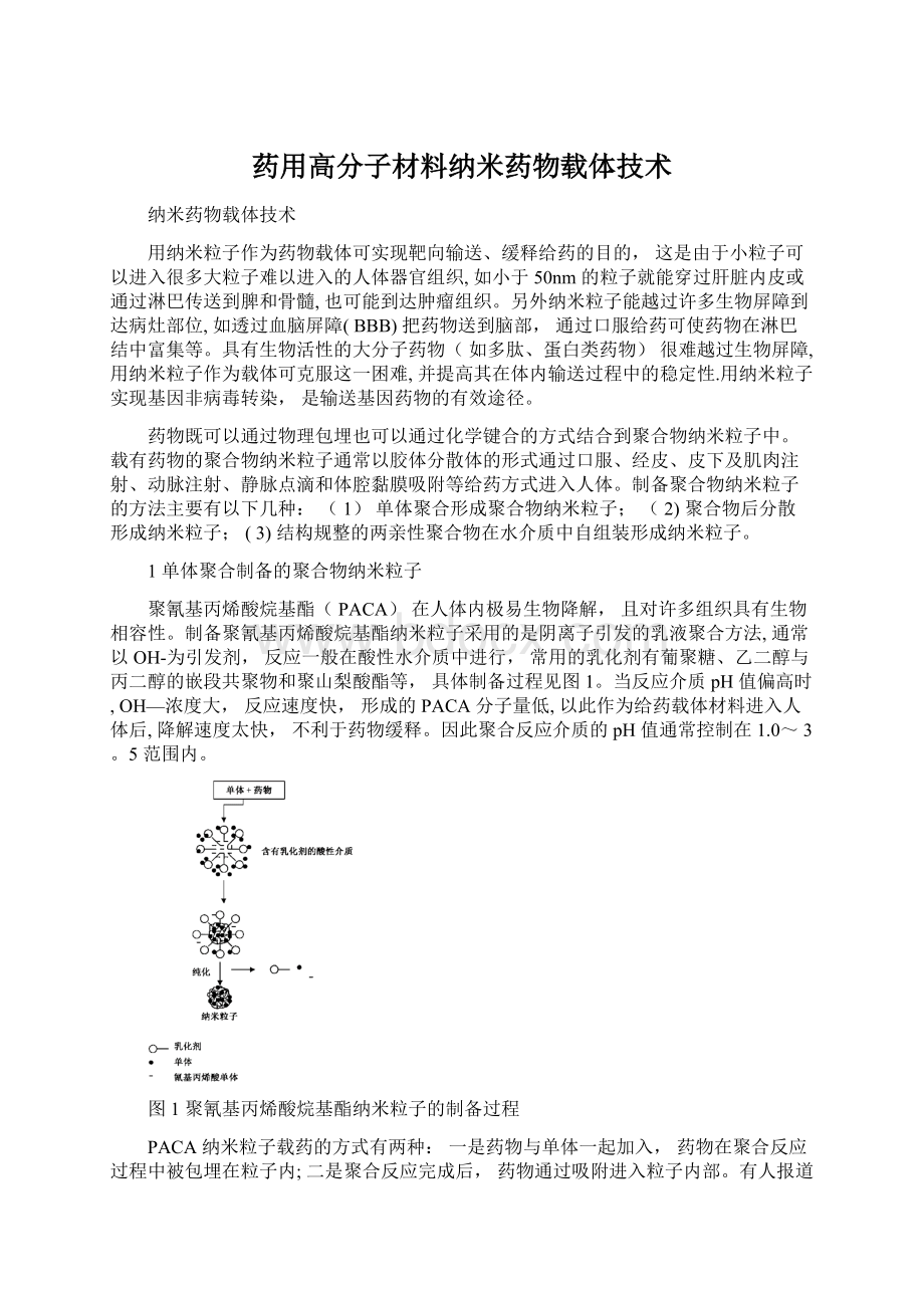 药用高分子材料纳米药物载体技术Word下载.docx