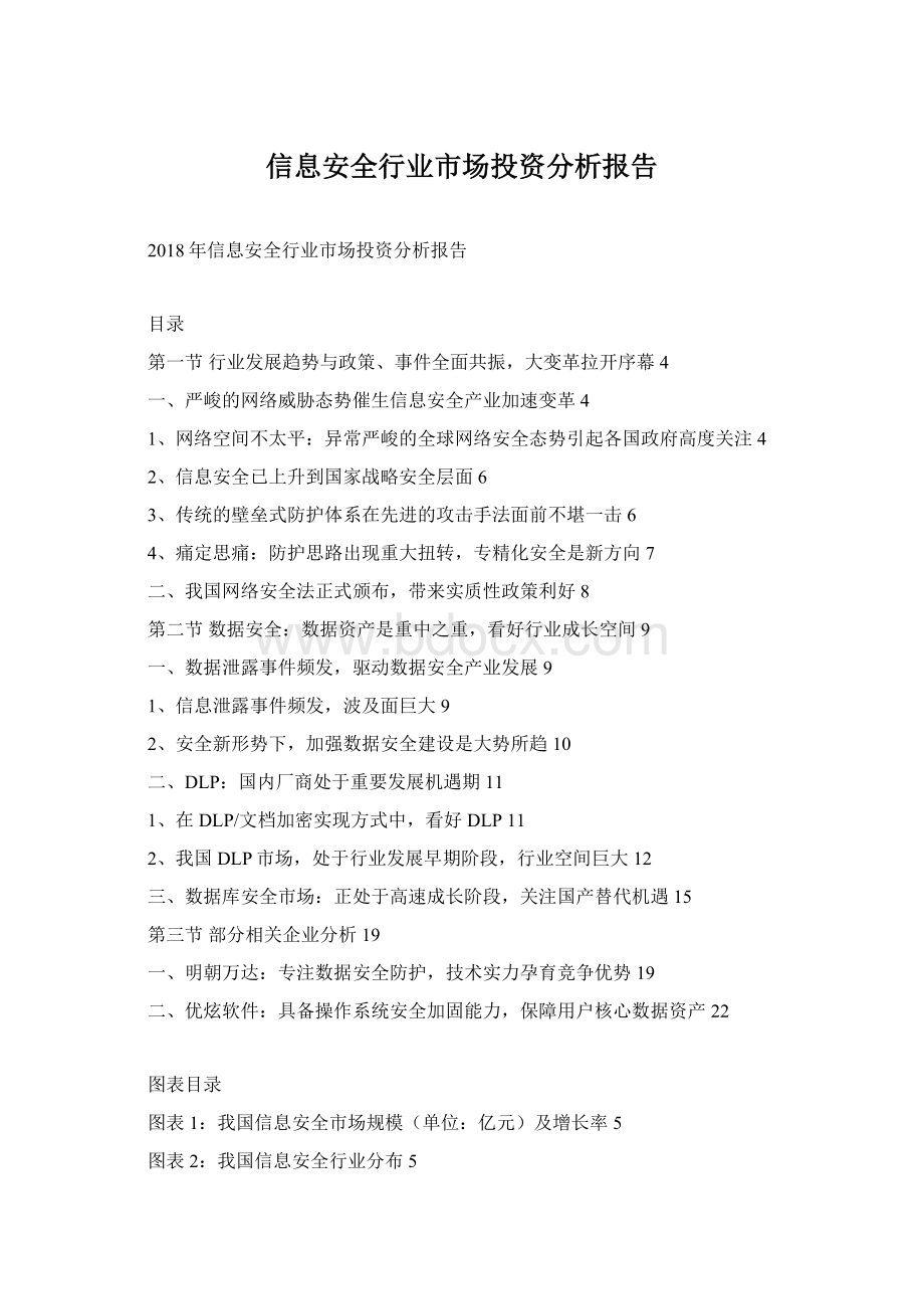 信息安全行业市场投资分析报告.docx_第1页