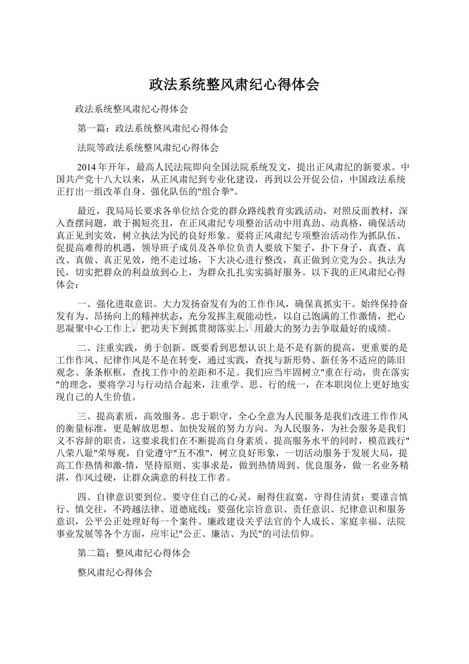 政法系统整风肃纪心得体会文档格式.docx