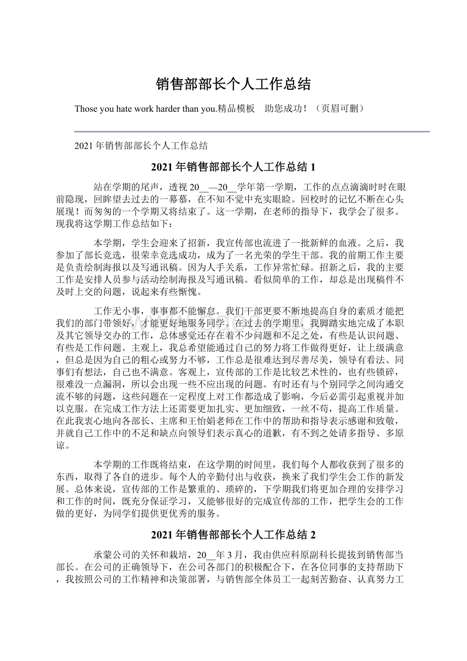 销售部部长个人工作总结.docx