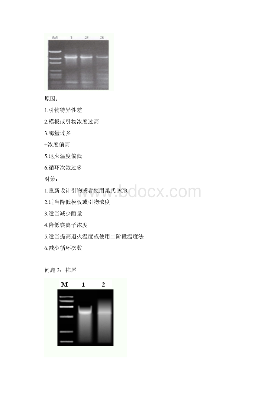 PCR常见问题分析及对策.docx_第2页