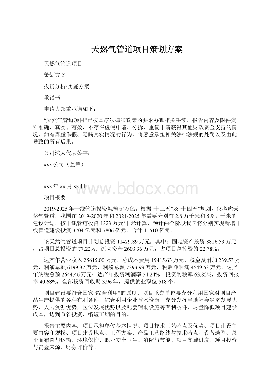 天然气管道项目策划方案Word文档格式.docx_第1页