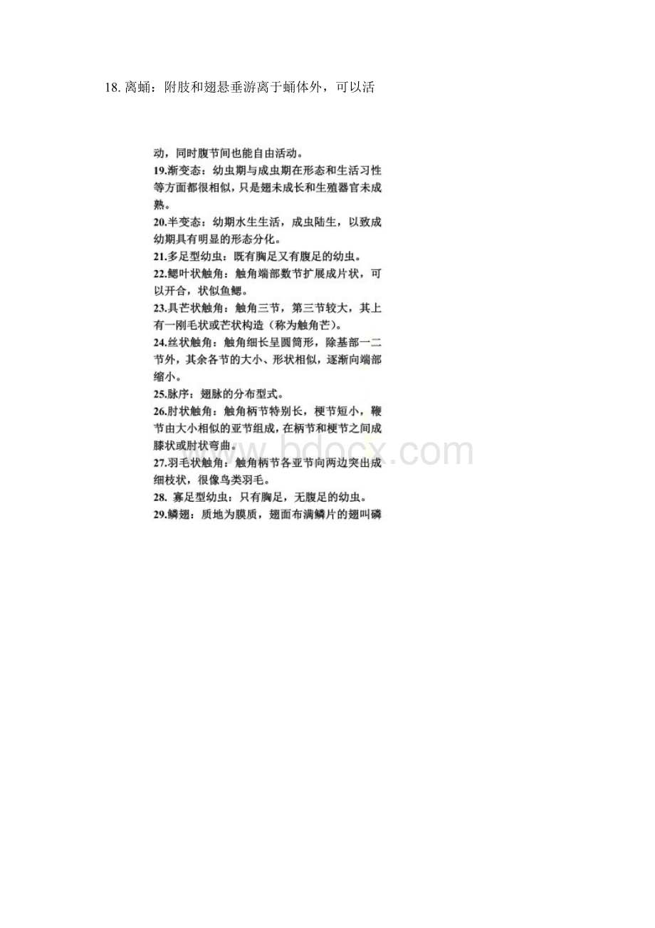 普通昆虫学名词解释Word格式.docx_第2页