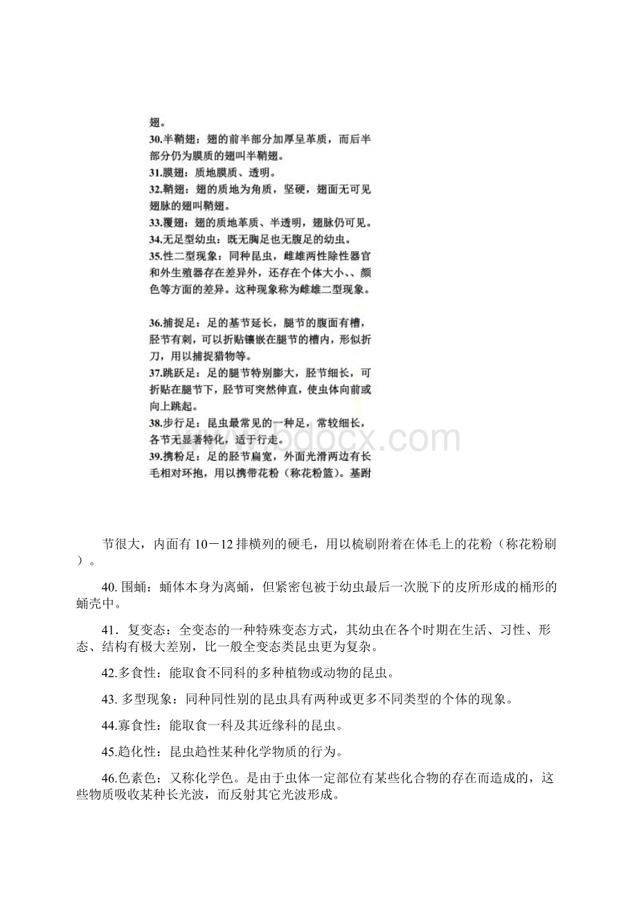 普通昆虫学名词解释Word格式.docx_第3页