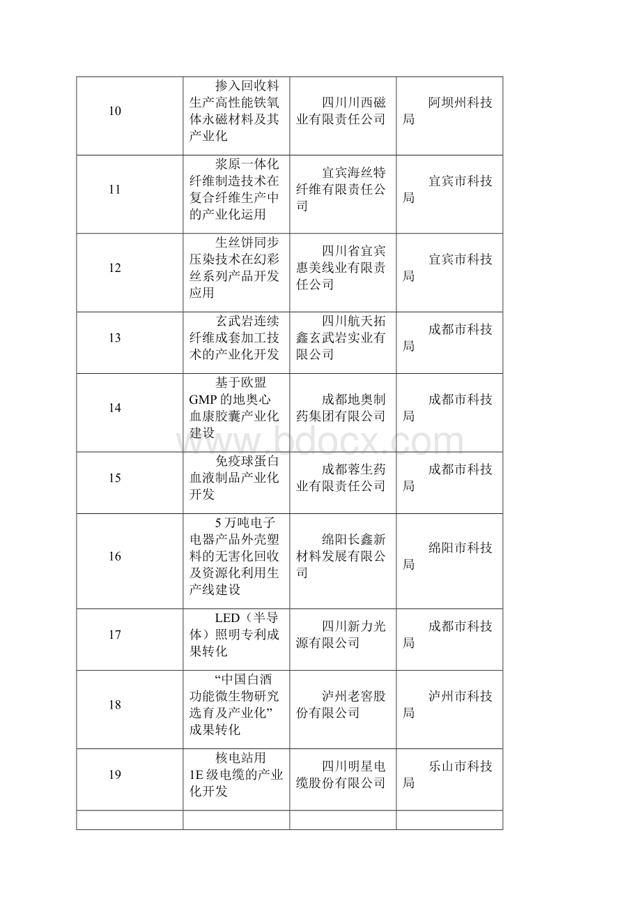 四川省重大科技成果转化项目清单模板.docx_第2页