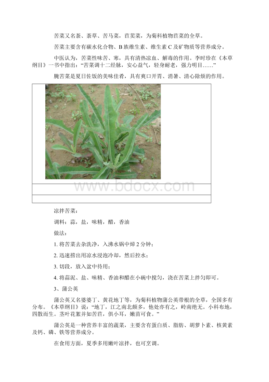 夏季适当多吃9种苦味菜.docx_第2页