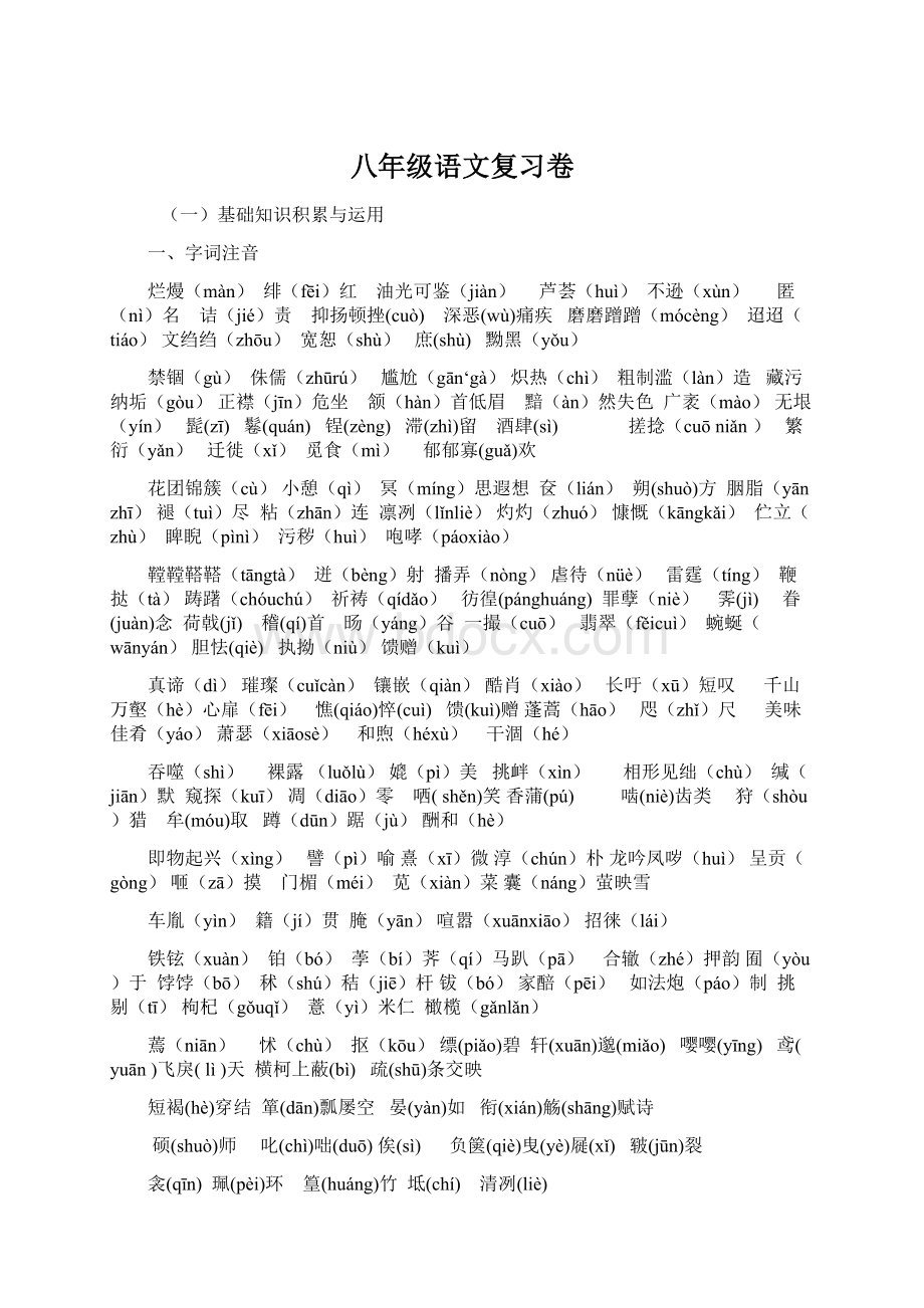 八年级语文复习卷Word格式.docx