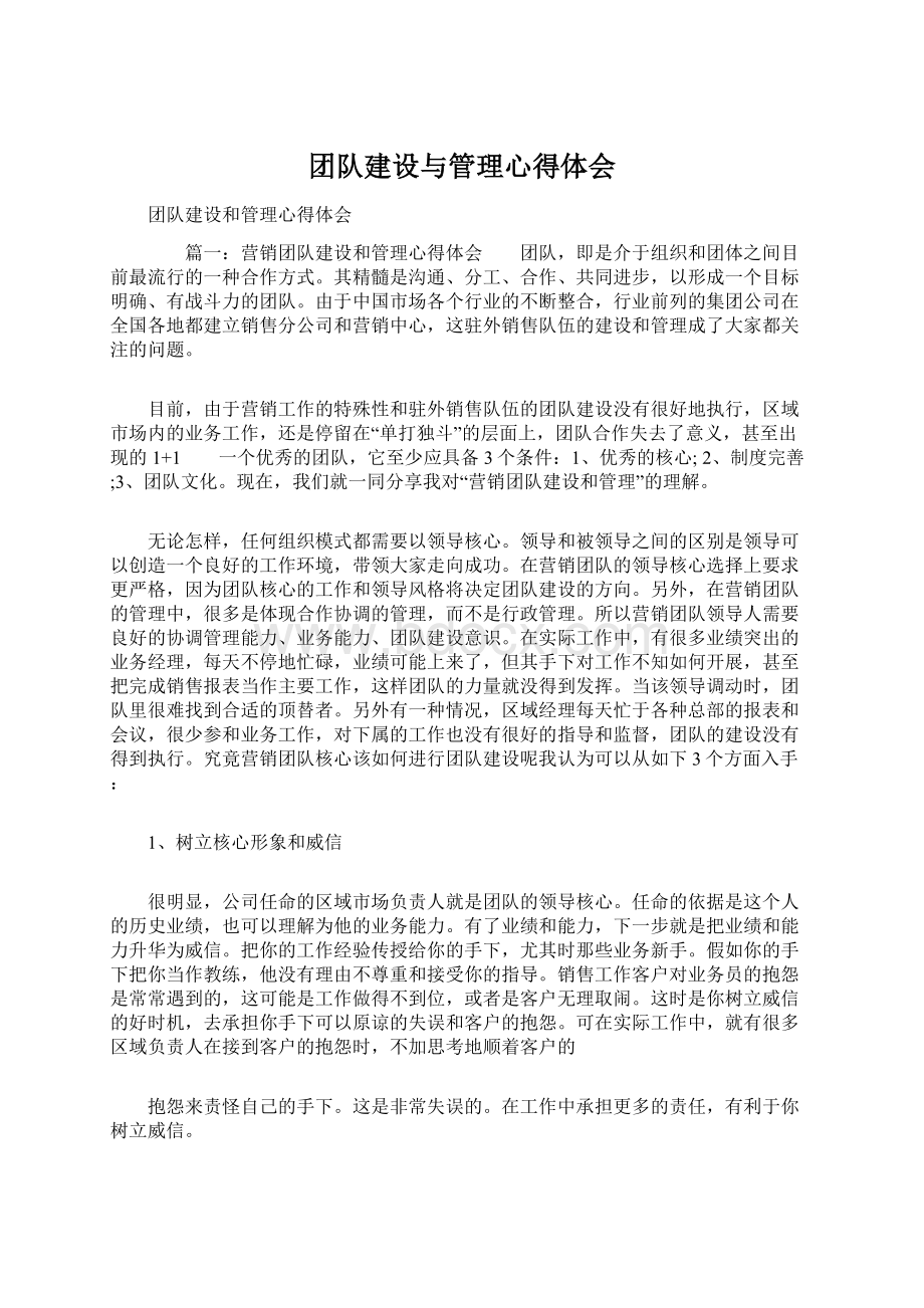 团队建设与管理心得体会.docx_第1页