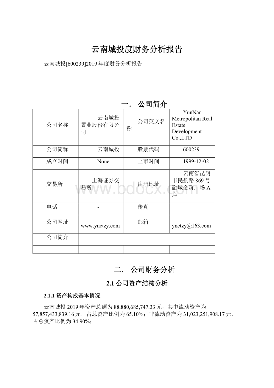 云南城投度财务分析报告Word文档下载推荐.docx