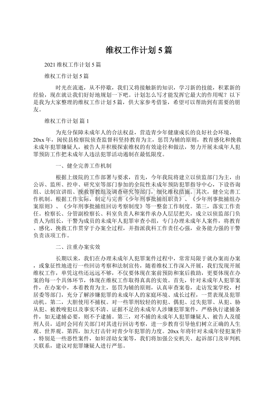 维权工作计划5篇文档格式.docx