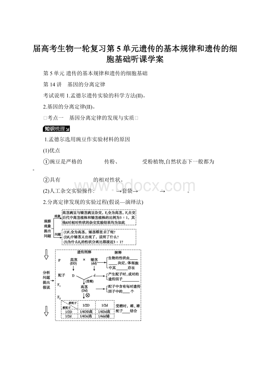 届高考生物一轮复习第5单元遗传的基本规律和遗传的细胞基础听课学案.docx