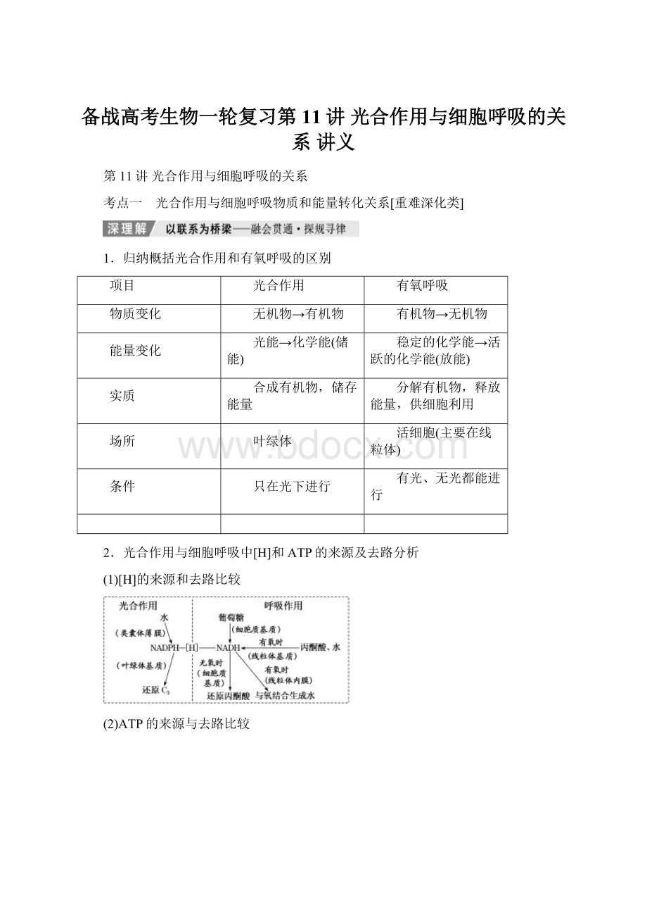 备战高考生物一轮复习第11讲光合作用与细胞呼吸的关系 讲义.docx_第1页