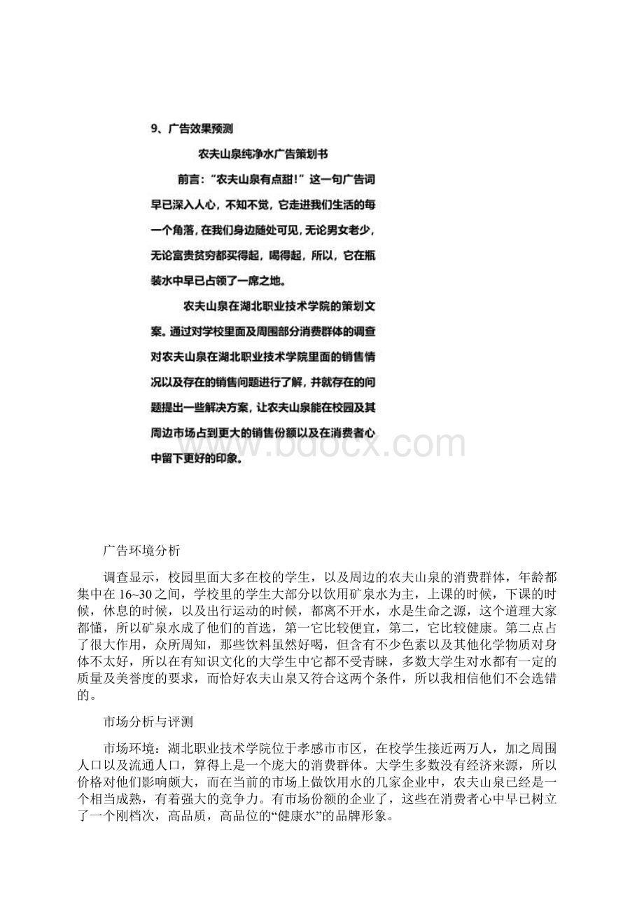 农夫山泉活动策划书docxWord文档格式.docx_第2页