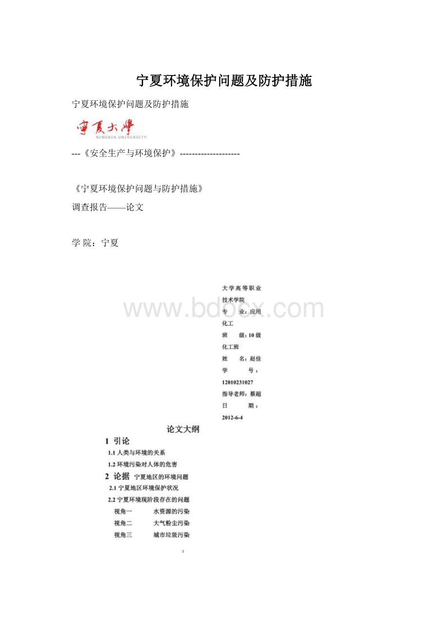 宁夏环境保护问题及防护措施Word下载.docx