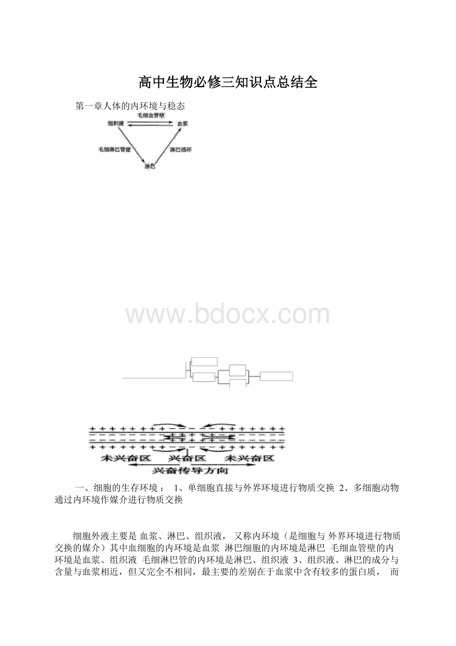 高中生物必修三知识点总结全Word格式文档下载.docx