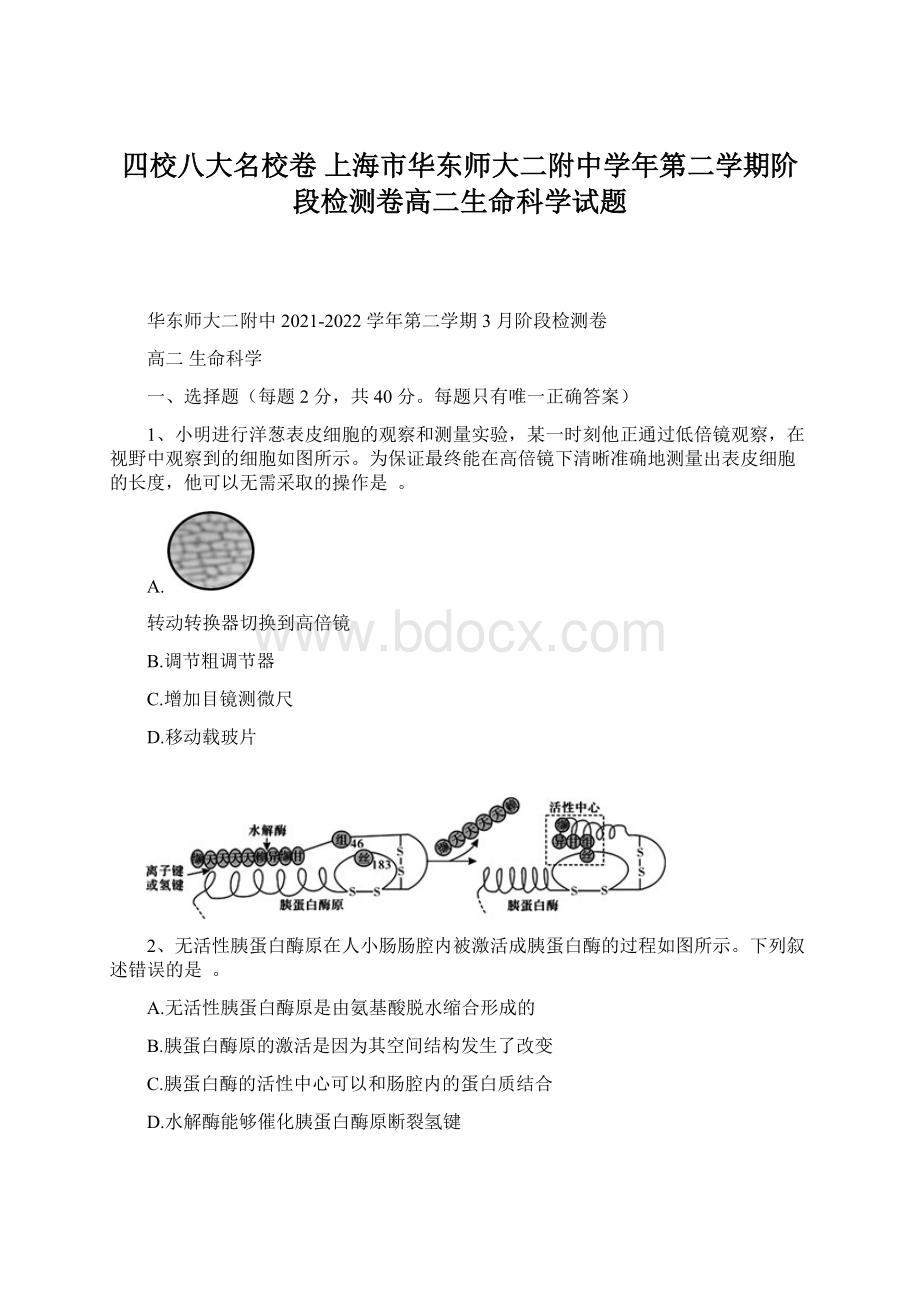 四校八大名校卷 上海市华东师大二附中学年第二学期阶段检测卷高二生命科学试题.docx_第1页