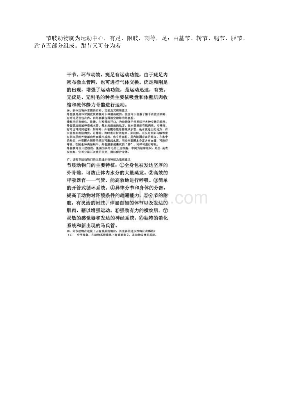 动物学简答题Word下载.docx_第3页