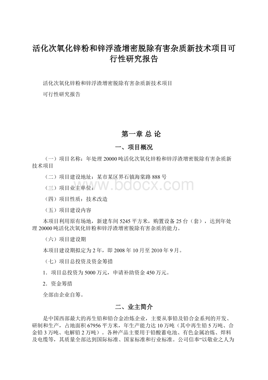 活化次氧化锌粉和锌浮渣增密脱除有害杂质新技术项目可行性研究报告.docx