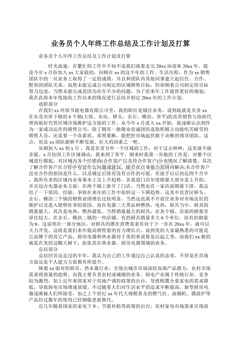 业务员个人年终工作总结及工作计划及打算.docx_第1页